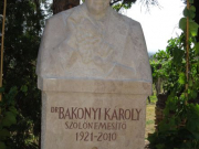 Bakonyi Károly szobor szemből - Georgikon Alapítvány