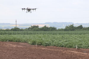 Gazdasági- és vidékfejlesztési agrármérnöki szak